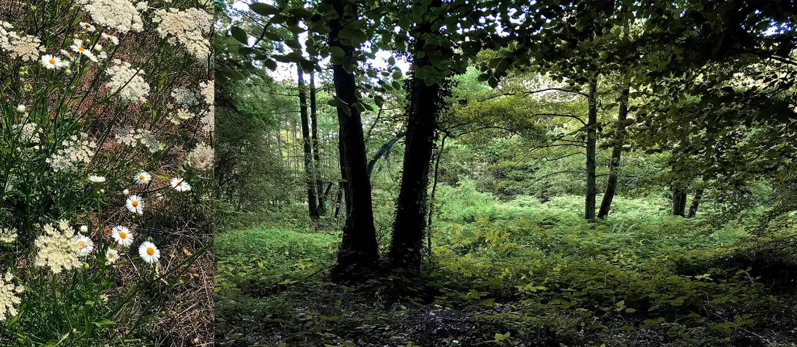 Slider 4 3 Natur erleben slide 03