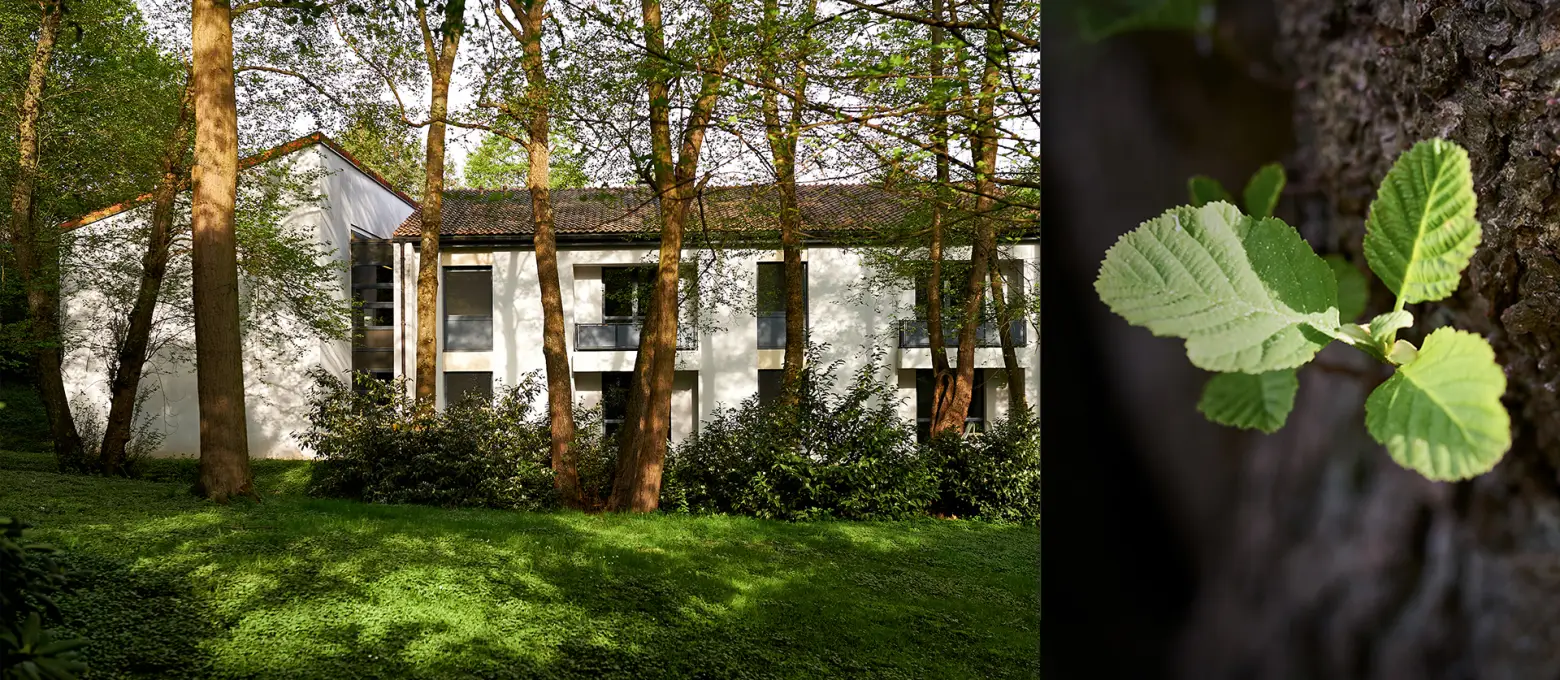 Parkwäldchen mit Gästehaus Ölberg