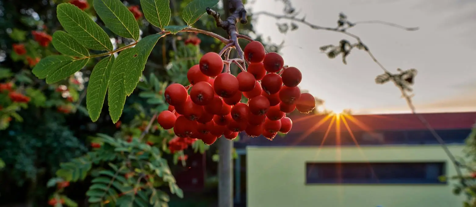Abendstimmung